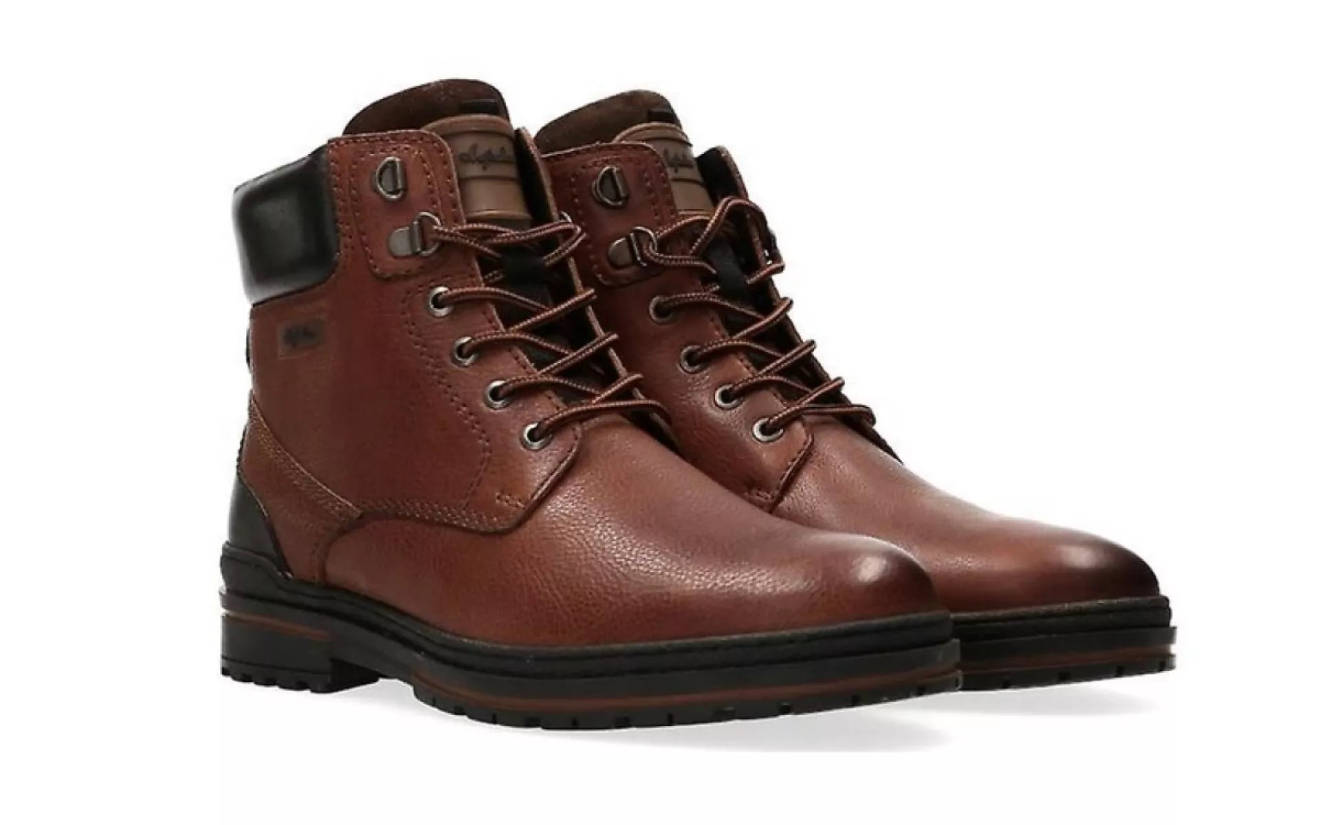 AUSTRALIAN AUSTRALIAN YORKSHIRE