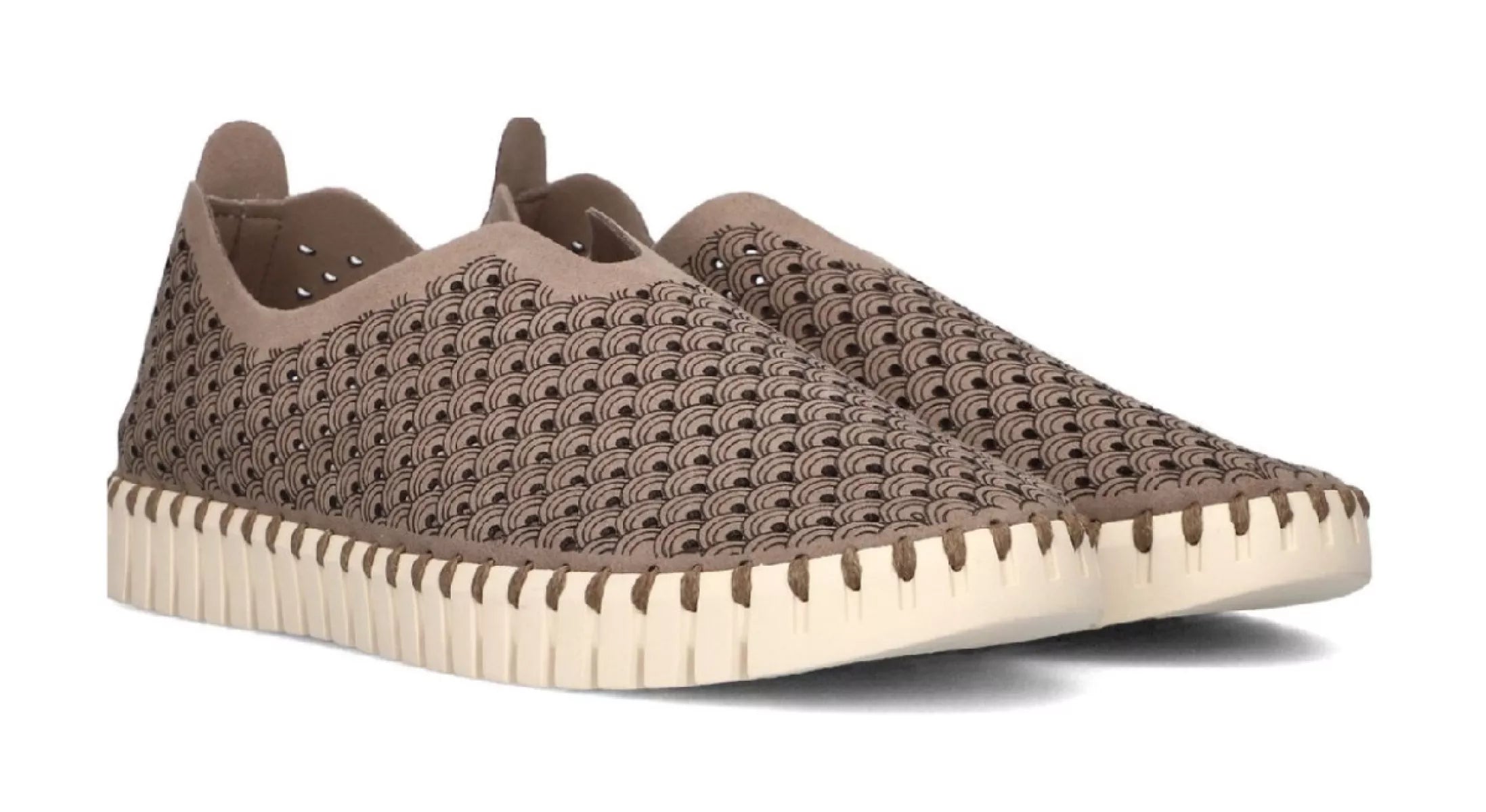 ILSE JACOBSEN ILSE JACOBSEN 3275 TULIP