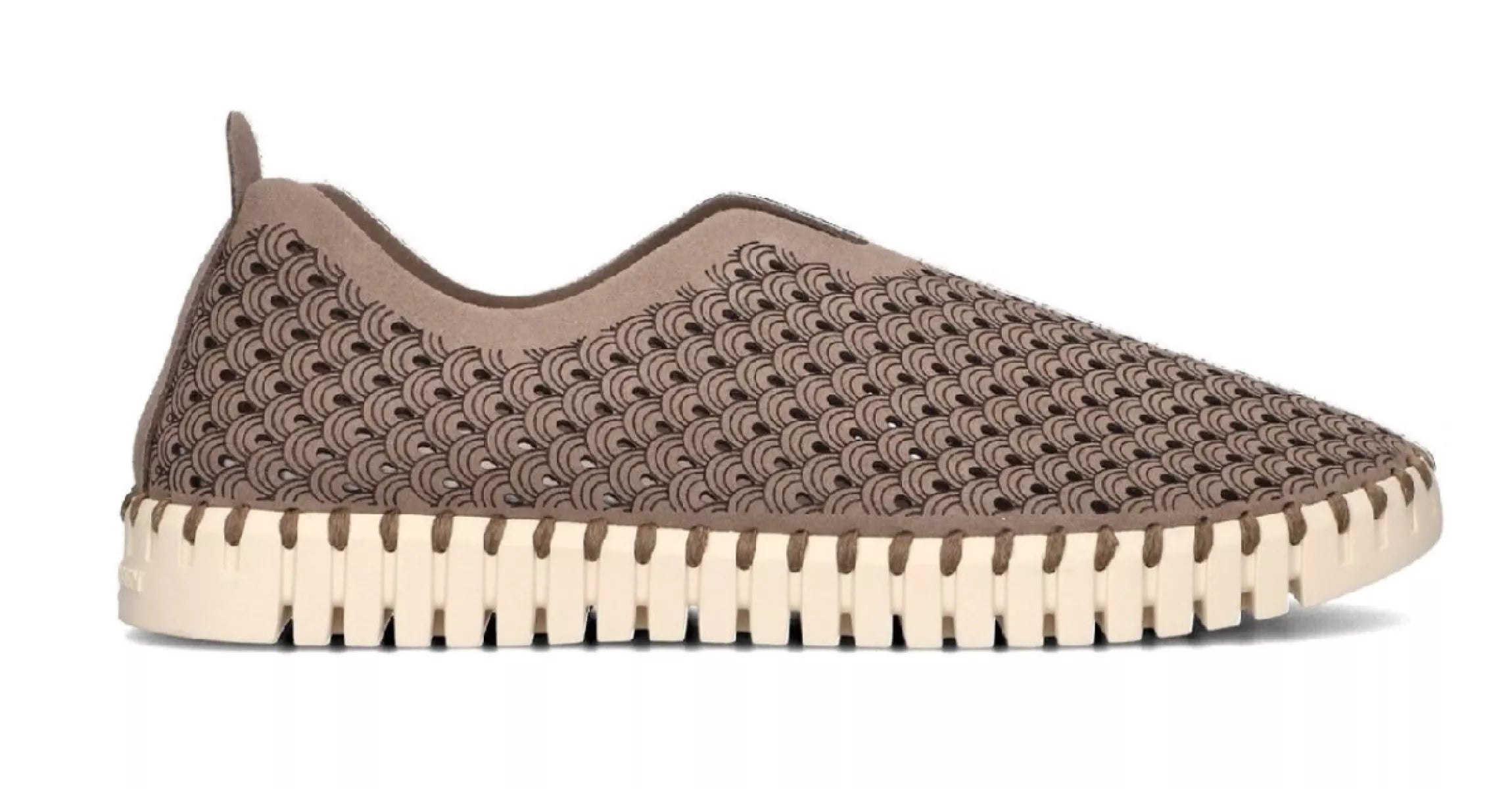 ILSE JACOBSEN ILSE JACOBSEN 3275 TULIP