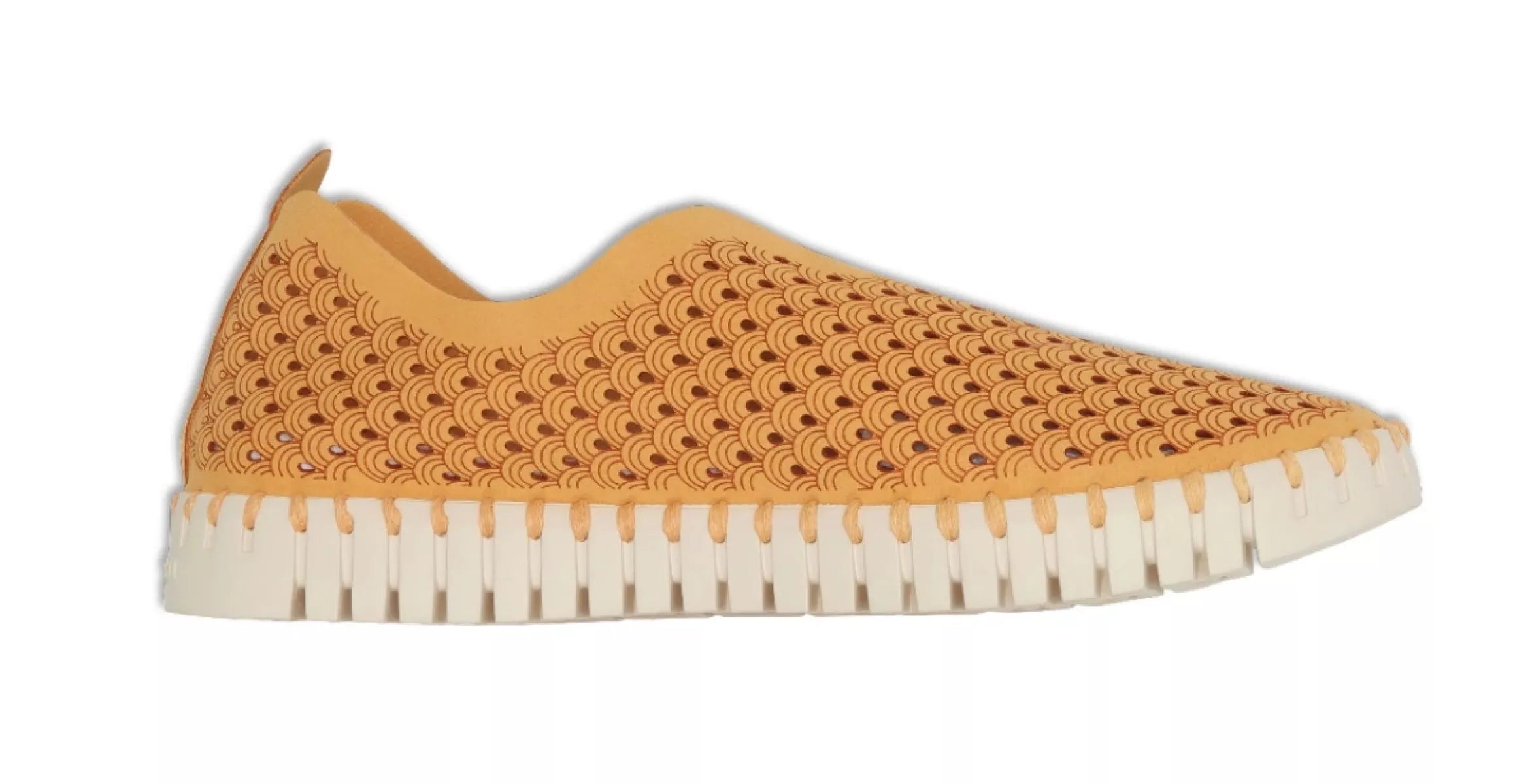 ILSE JACOBSEN ILSE JACOBSEN 3275 TULIP