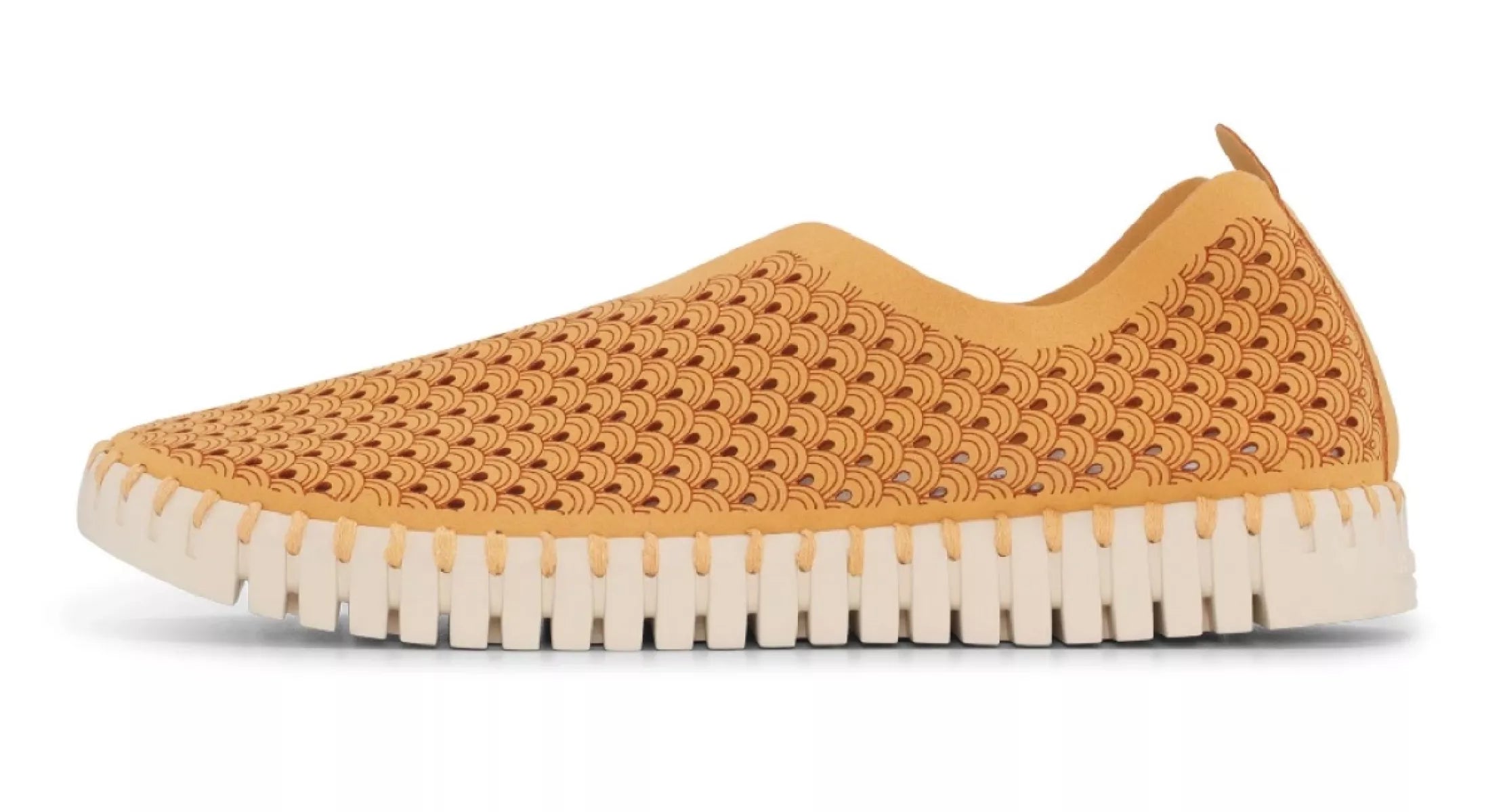 ILSE JACOBSEN ILSE JACOBSEN 3275 TULIP