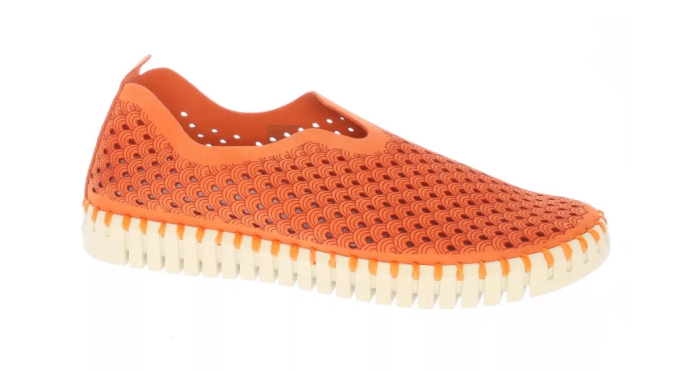 ILSE JACOBSEN ILSE JACOBSEN 3275 TULIP