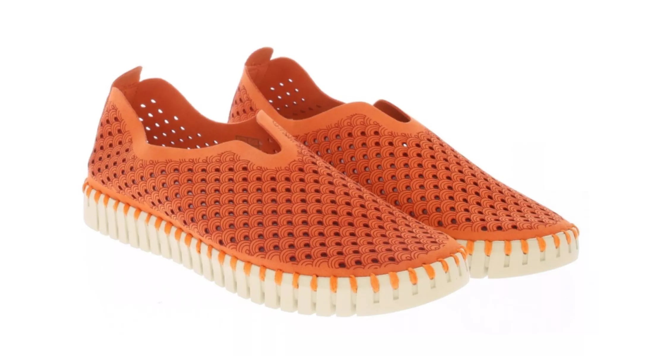 ILSE JACOBSEN ILSE JACOBSEN 3275 TULIP