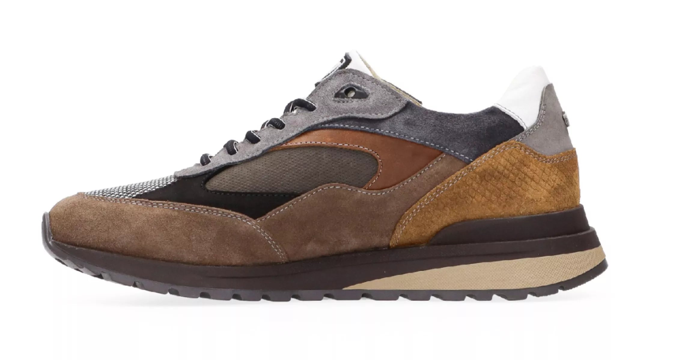 AUSTRALIAN AUSTRALIAN SPARROW