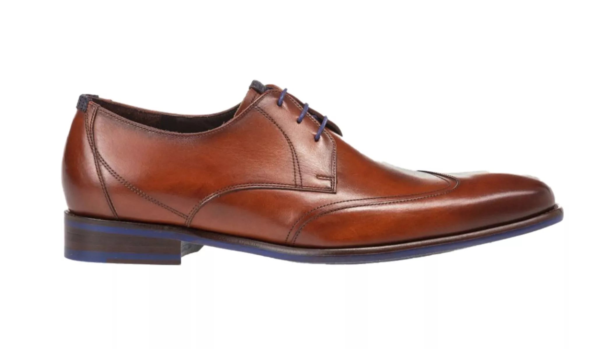 VAN BOMMEL VAN BOMMEL SFM-30173-24-01