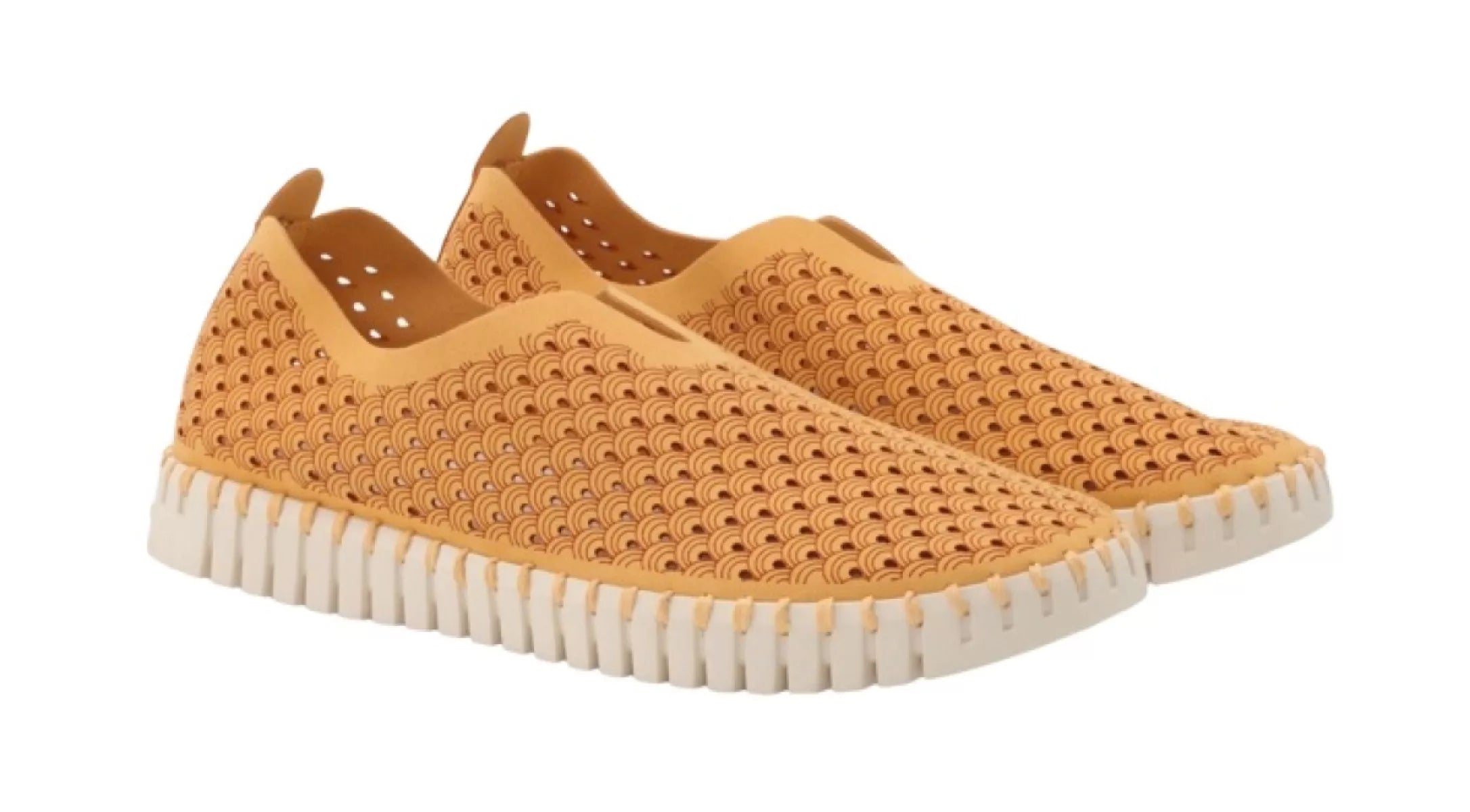 ILSE JACOBSEN ILSE JACOBSEN 3275 TULIP