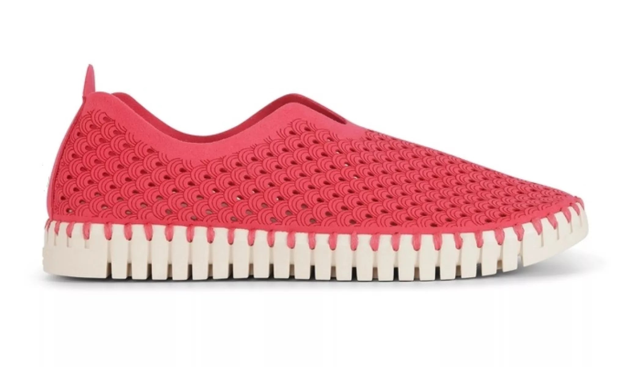 ILSE JACOBSEN ILSE JACOBSEN 3275 TULIP