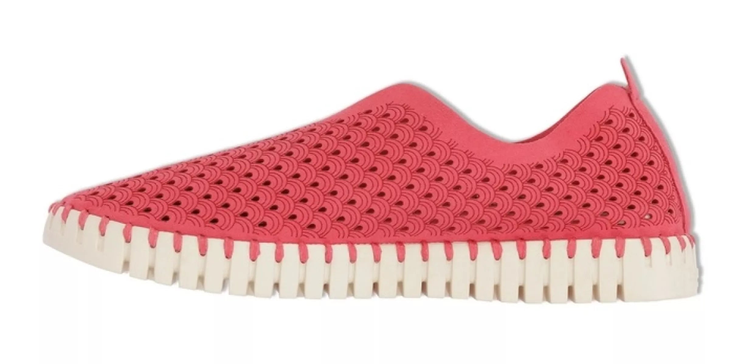 ILSE JACOBSEN ILSE JACOBSEN 3275 TULIP