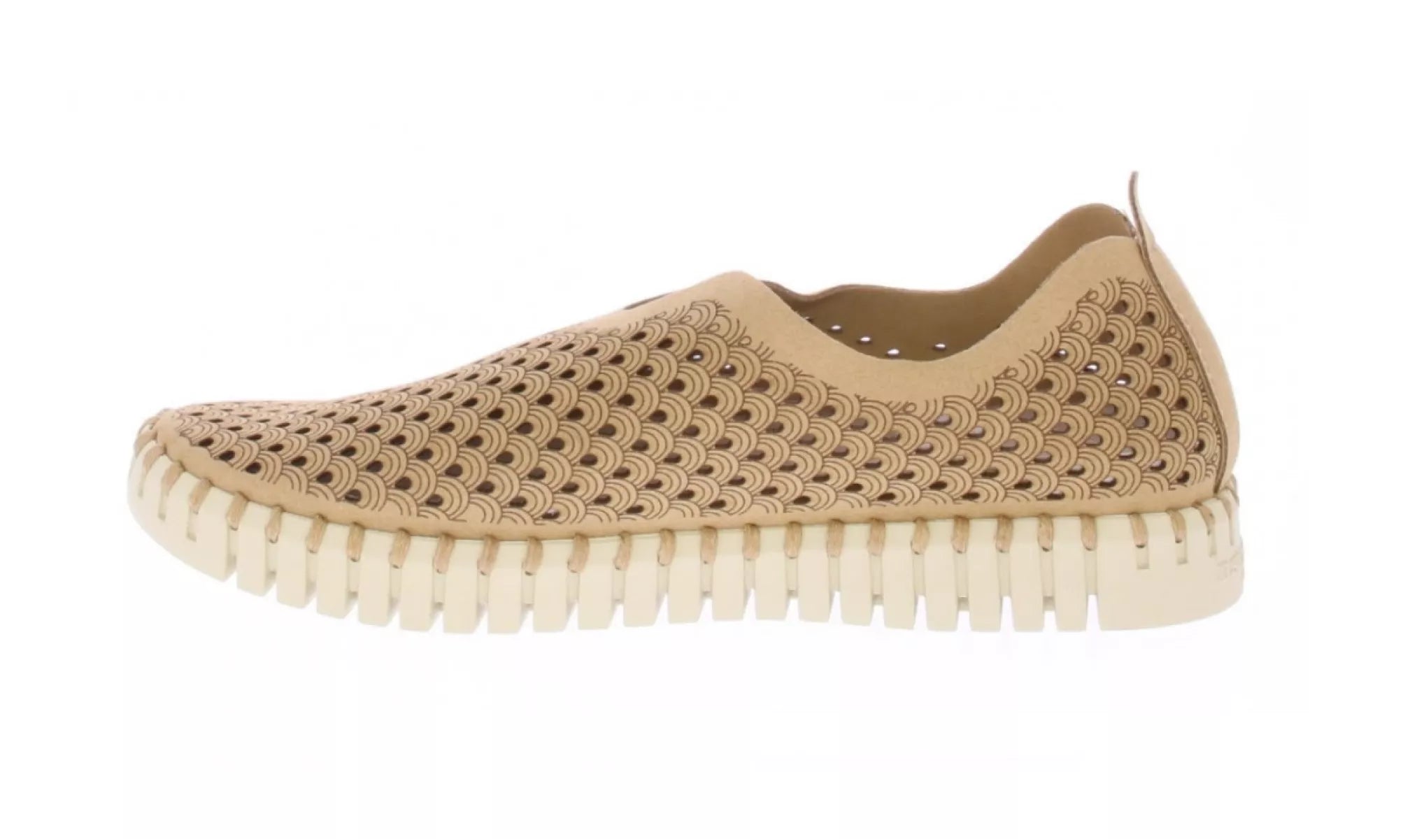 ILSE JACOBSEN ILSE JACOBSEN 3275 TULIP