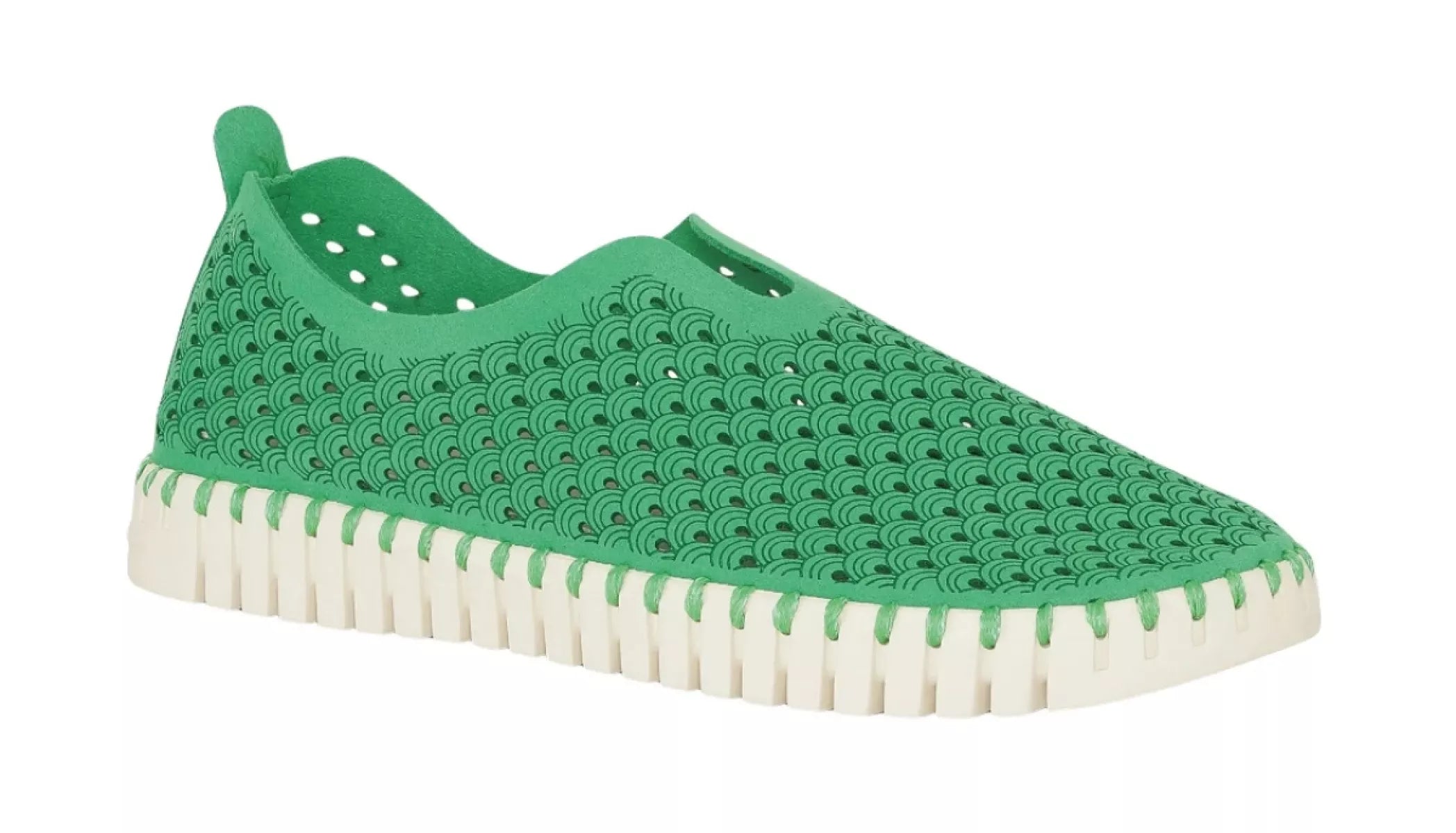 ILSE JACOBSEN ILSE JACOBSEN 3275 TULIP