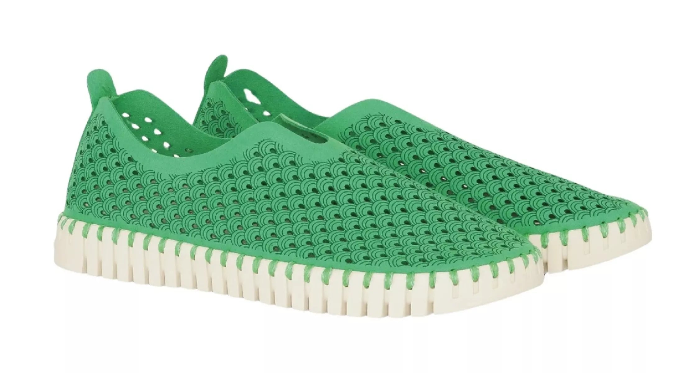 ILSE JACOBSEN ILSE JACOBSEN 3275 TULIP