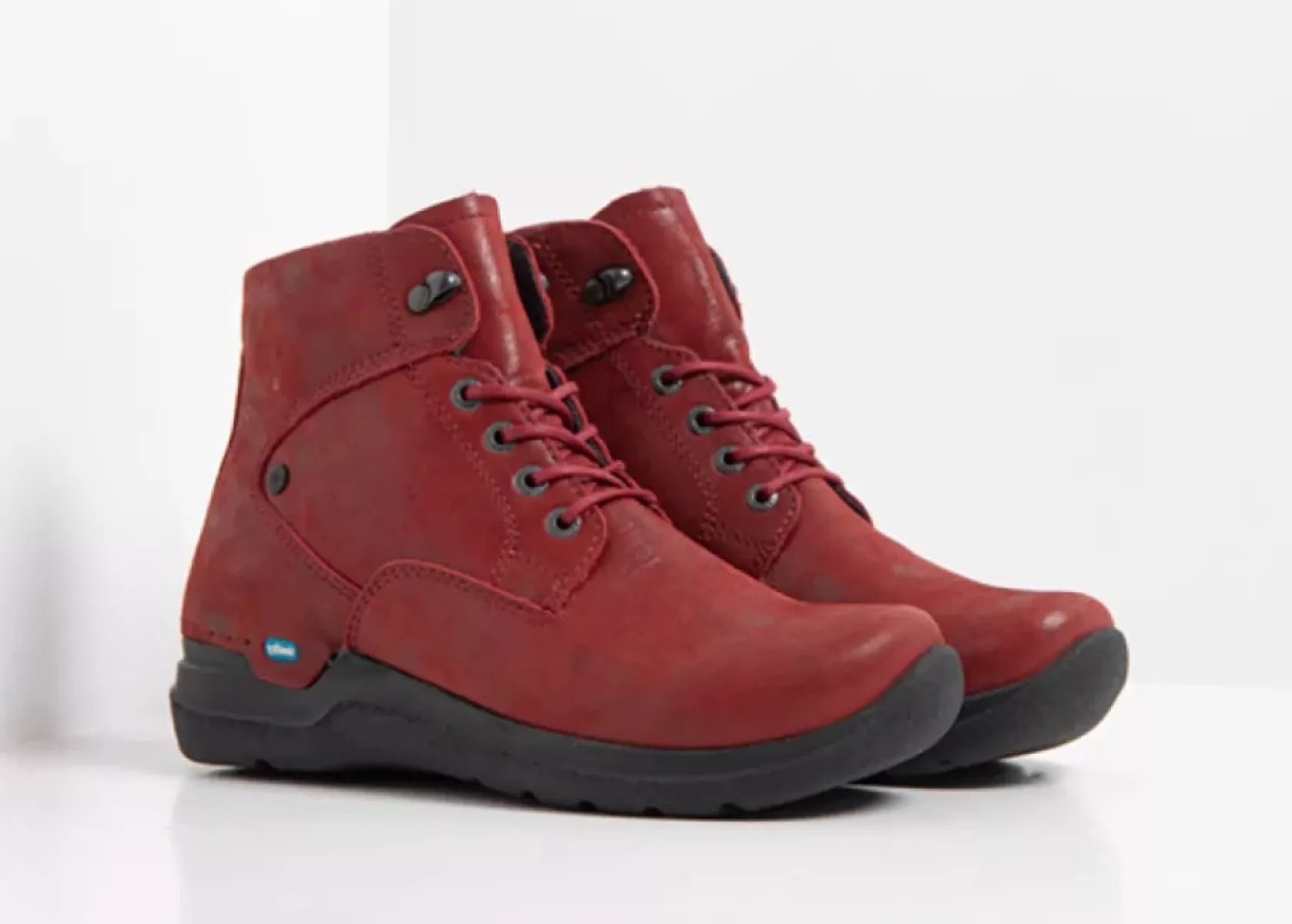 WOLKY WOLKY WHYNOT HV